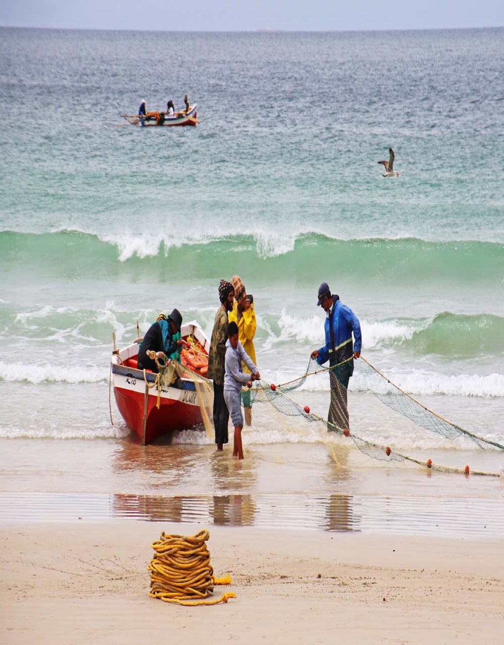 Fish-Hoek-beach-pulling-in-the-net